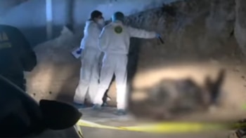 Los delincuentes querían evitar que