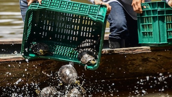 Una empresa privada dejó de