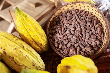 Chocolate y derivados en las ventas externas de El Salvador: el dato que reconfiguró el rubro entre enero y mayo de 2026 (Foto cortesía CENTA).