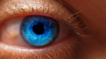 El experimento de 2025 permitió