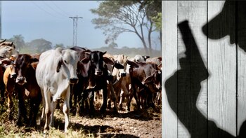 La Fiscalía del Edomex subastará