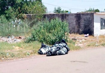 Los cuerpos de los hermanos