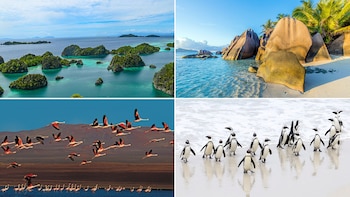 Las playas ofrecen un refugio