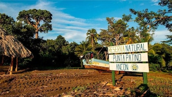 Gobierno y ONG impulsan expansión