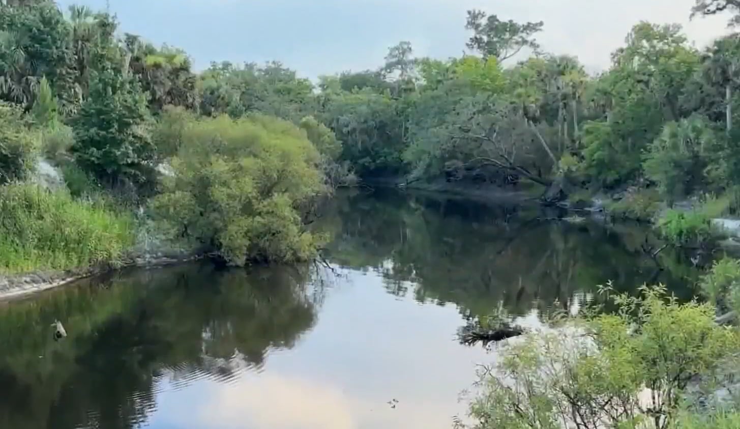 Una mujer de 31 años murió tras un ataque de caimán en el río Econlockhatchee, en el condado de Seminole, Florida (NBC Miami)