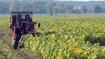 Brasil espera exportar 92.000 millones