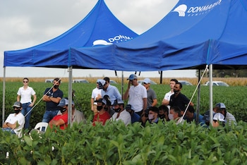 DONMARIO Semillas mantiene un permanente