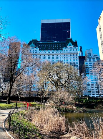 El hotel plaza desde Central