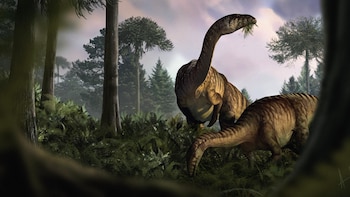 Científicos de diversos países estudiaron