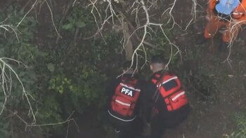 La búsqueda en uno de