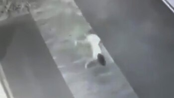 Revive por video mito de