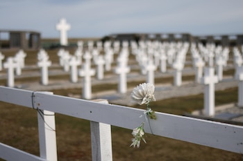 Una flor blanca atada a una cerca de madera blanca ante hileras de cruces blancas en un cementerio