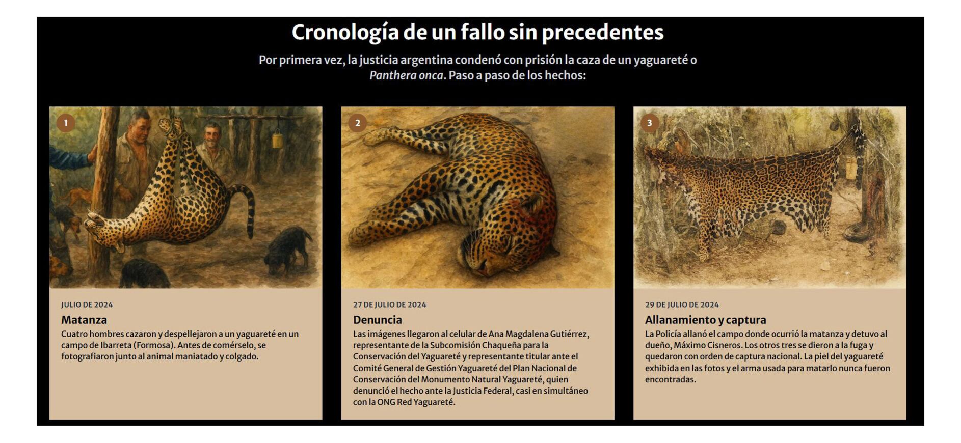 La condena a dos años de prisión a los cuatro cazadores de yaguareté de Ibarreta (Formosa) marcó un antecedente en la justicia argentina