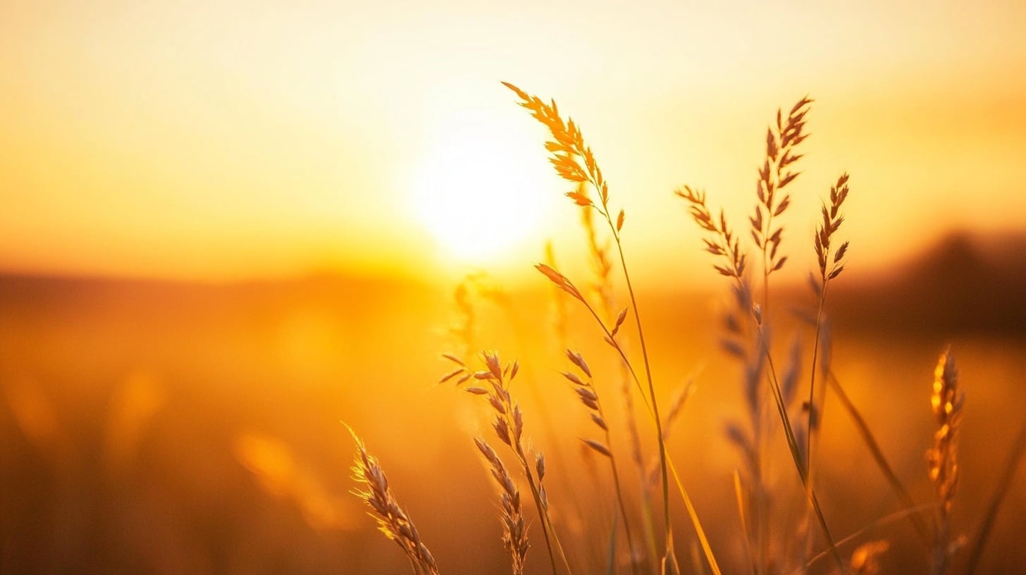 Los alimentos sin gluten suelen aportar menos fibra, hierro y ácido fólico que los productos tradicionales elaborados con trigo (Imagen Ilustrativa Infobae)
