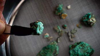 Fragmentos de minerales verdes encontrados en la Cova 333, en los Pirineos. (Maria D. Guillén/IPHES-CERCA)