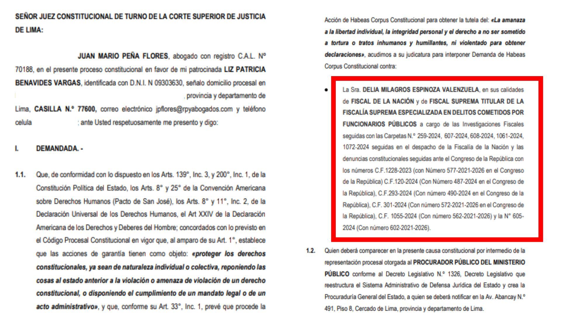 Hábeas corpus presentado por Patricia Benavides