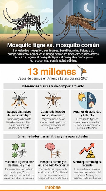 Infografía comparativa de dos mosquitos, uno negro con rayas blancas y otro marrón. Incluye descripciones textuales sobre sus diferencias físicas, hábitos, enfermedades transmitidas y cifras de dengue.