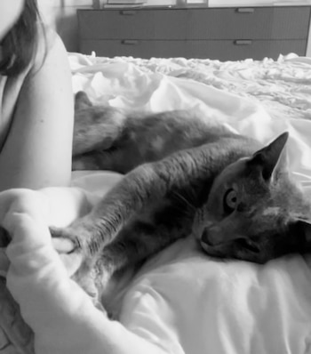 En la vivienda compartida con