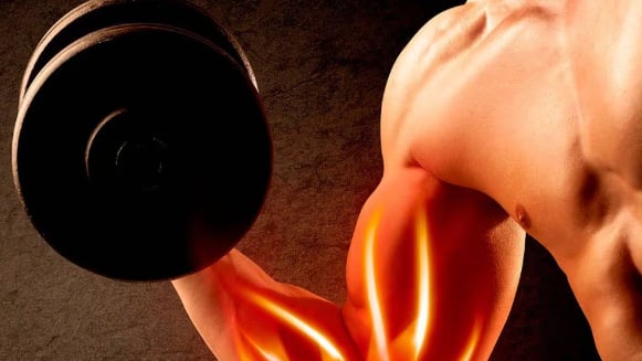 La clave para ganar músculo magro reside en combinar ejercicios compuestos y de aislamiento, junto con una planificación nutricional adecuada y descanso óptimo, factores que aseguran mejores resultados físicos y elevan el rendimiento deportivo general (Imagen de archivo)