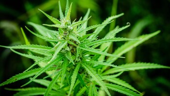 En los vehículos viajaban tres