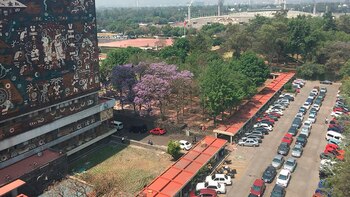 Cómo tomar los cursos gratuitos