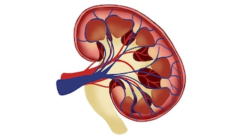El estudio publicado en PNAS