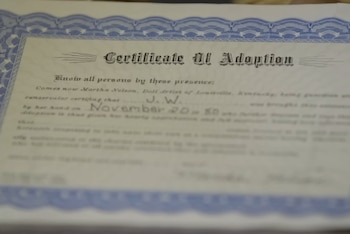 El concepto de adopción y