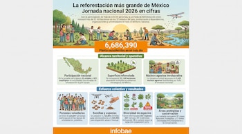 Infografía con datos y gráficos de la Jornada Nacional de Reforestación 2026 en México, mostrando personas plantando, un mapa y la diversidad de plantas.