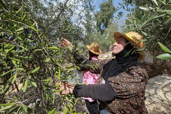 ”Buscamos que Israel sea el