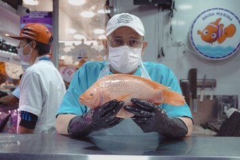 Más de 40 operativos en