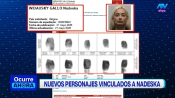 Exponen organigrama de la presunta red criminal donde figura Nadeska Widausky. Captura: Ocurre Ahora.