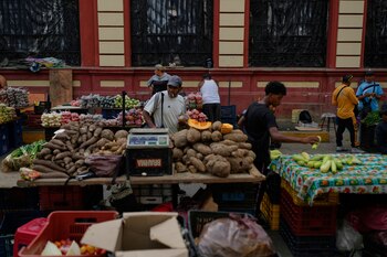 Verduras a la venta en
