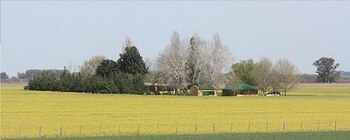 El campo La Ermita, donde