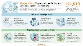 Infografía sobre el uso de vinagre blanco para limpiar el inodoro, mostrando su efecto antisarro y antimicrobiano, con datos de salud en México y el logo de Infobae.
