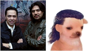 El grupo anunció su separación