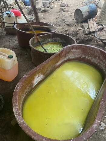 Los sitios hallados fueron destruidos