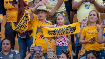 Tigres se clasifica a las