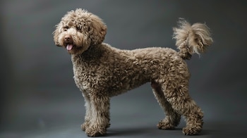 Este animal se caracteriza por