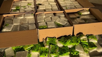 Aseguran más de 5 millones de dólares en droga y arrestan a una estadounidense y un mexicano en la frontera