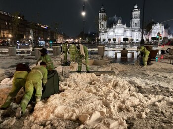 Se han retirado troncos, ramas