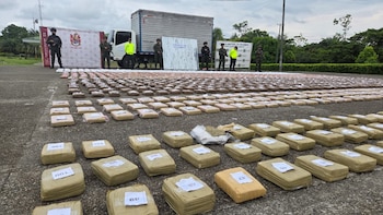 Cayó segunda megaincautación de marihuana