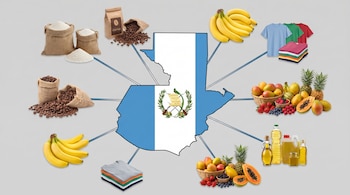 Un mapa de Guatemala con la bandera nacional, rodeado de productos como café, azúcar, bananos, camisetas, varias frutas tropicales y botellas de aceite.