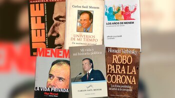 6 libros sobre Carlos Saúl