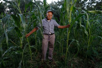 Los pagos de la Producción