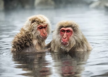 Los cambios en la exposición