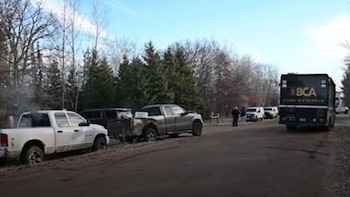 La activación de la Alerta