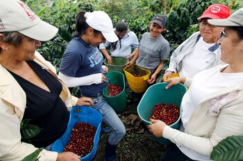 Al menos 23 Mipymes se