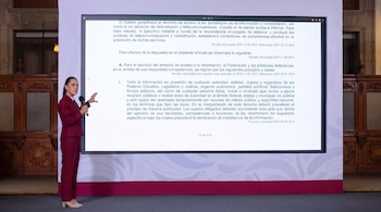 Mujer con traje guinda de pie frente a una pantalla grande con texto legal, sostiene un micrófono y gesticula con la mano izquierda.