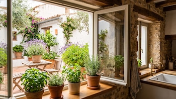 La planta aromática que puedes tener en la cocina y en el patio para perfumar el espacio y evitar insectos