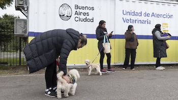 Los procedimientos se realizan en